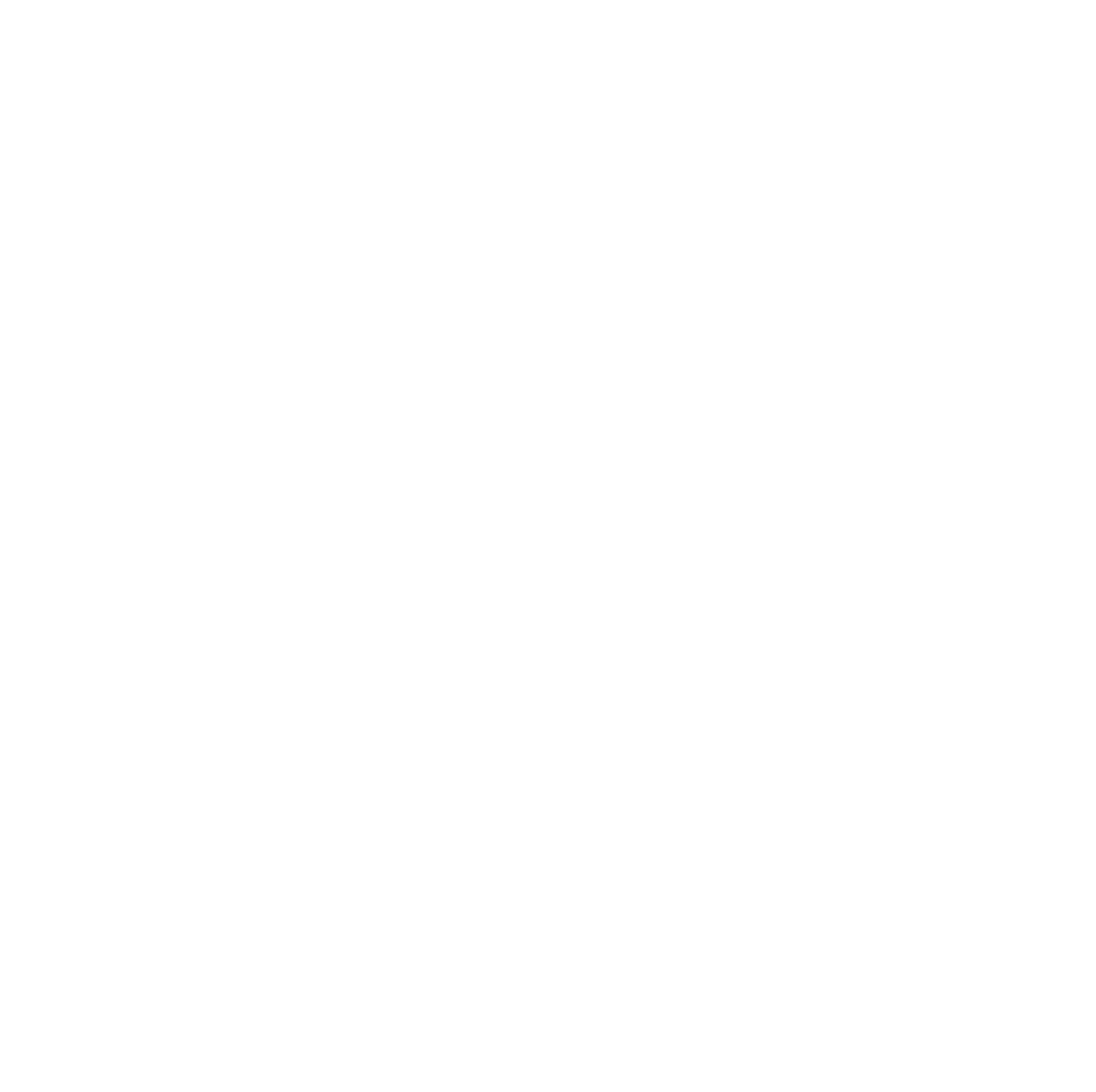 Logo du studio Ticoulet